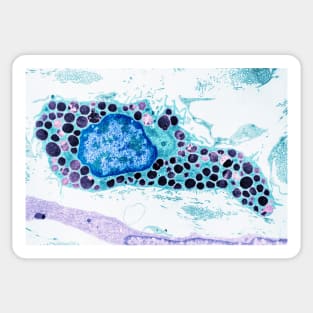 Mast cell, TEM (C048/5115) Sticker